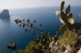 /album/fotogaleria-fotogaleria/capri-15-jpg/
