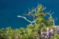 /album/fotogaleria-fotogaleria/capri-23-jpg/